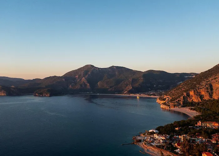 Moderno B オルデニズ