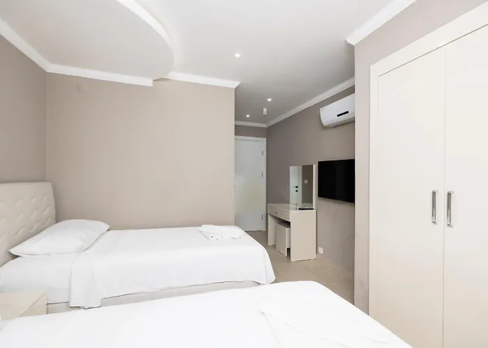 Moderno B オルデニズ