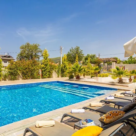 Villa Moderno B